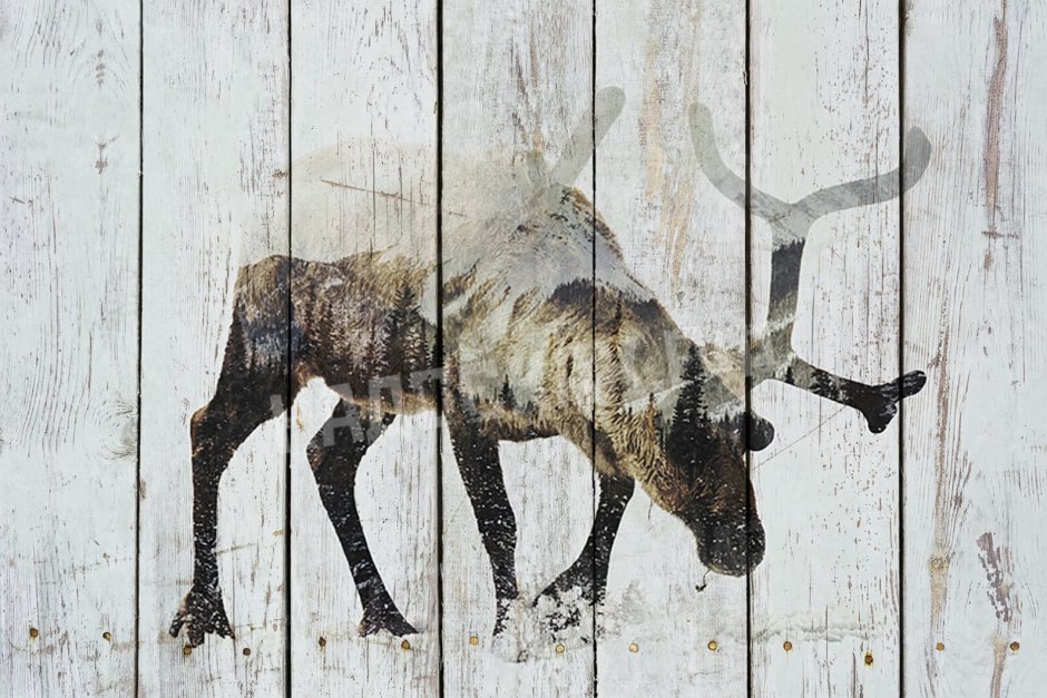 УФ печать на дереве