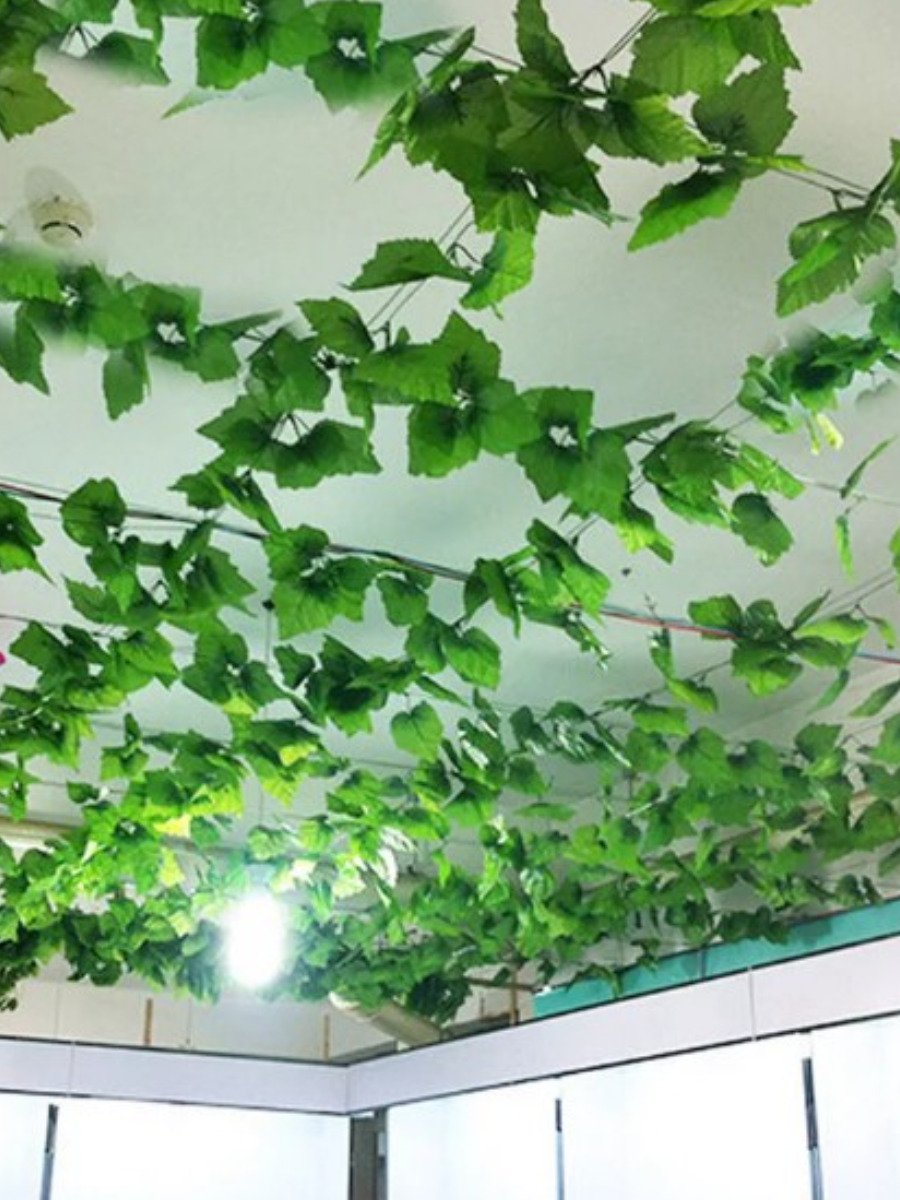 Патио внутренний дворик в саду Испании