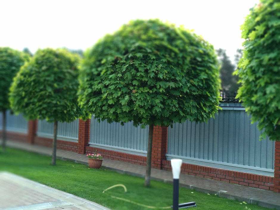 ООО КРОНАСТРОЙ