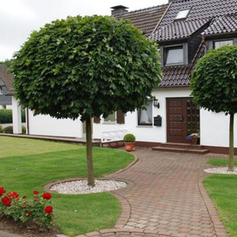 Магазин крона Красноярск