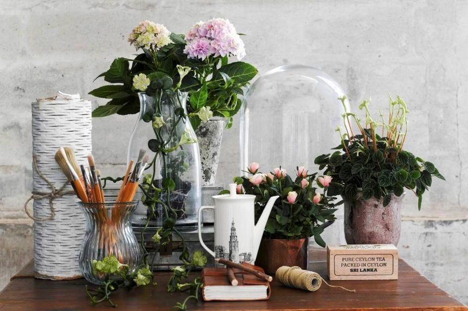 Цветы в интерьере