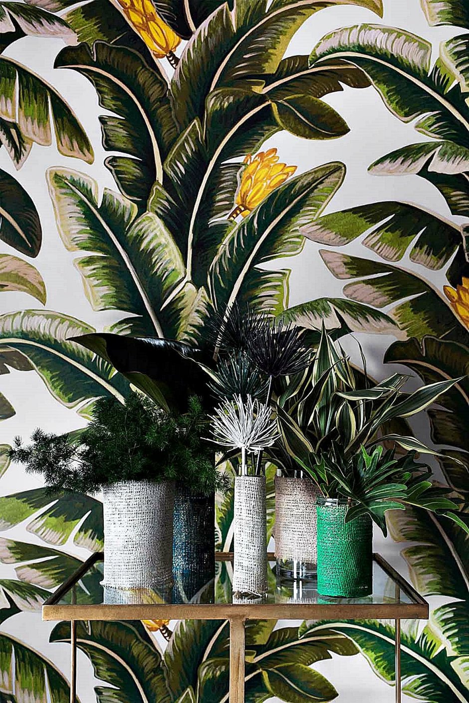 Тропические растения в интерьере