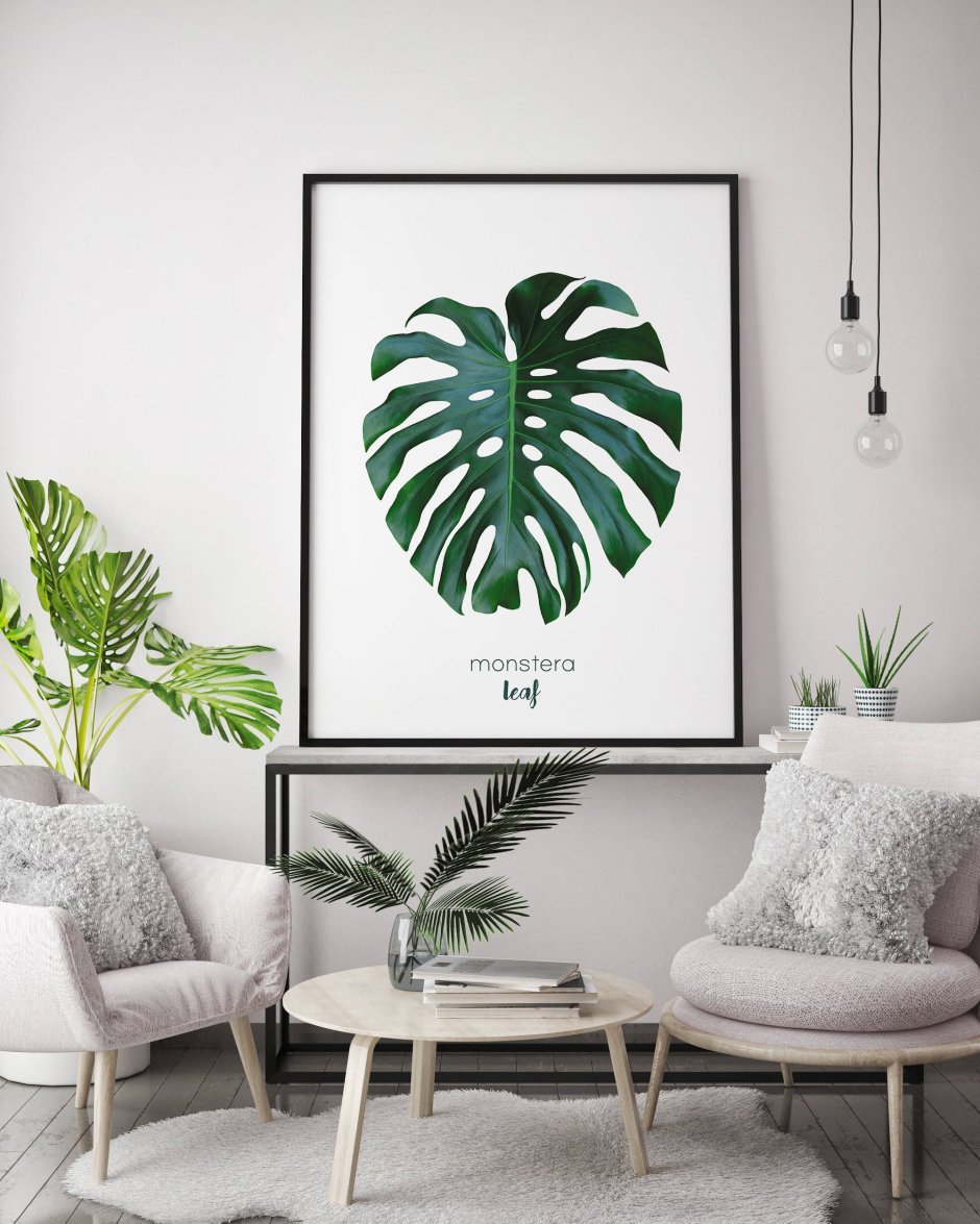 Монстера постеры Сканди