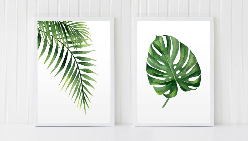 Акварельные листья пальмы