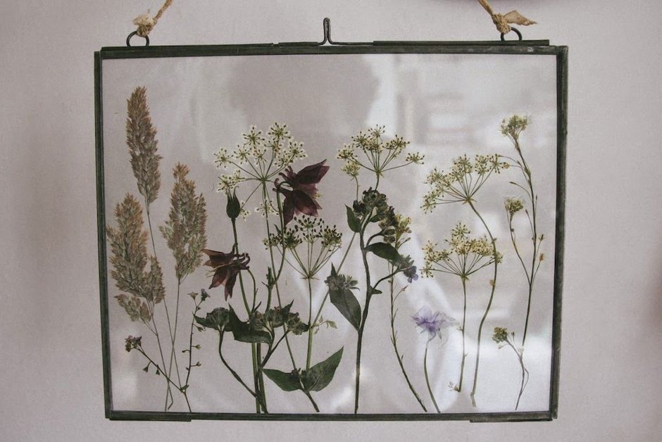 Сухие цветы в рамке под стеклом