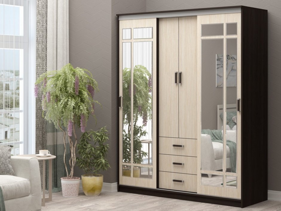 Шкаф-купе маэстро-3