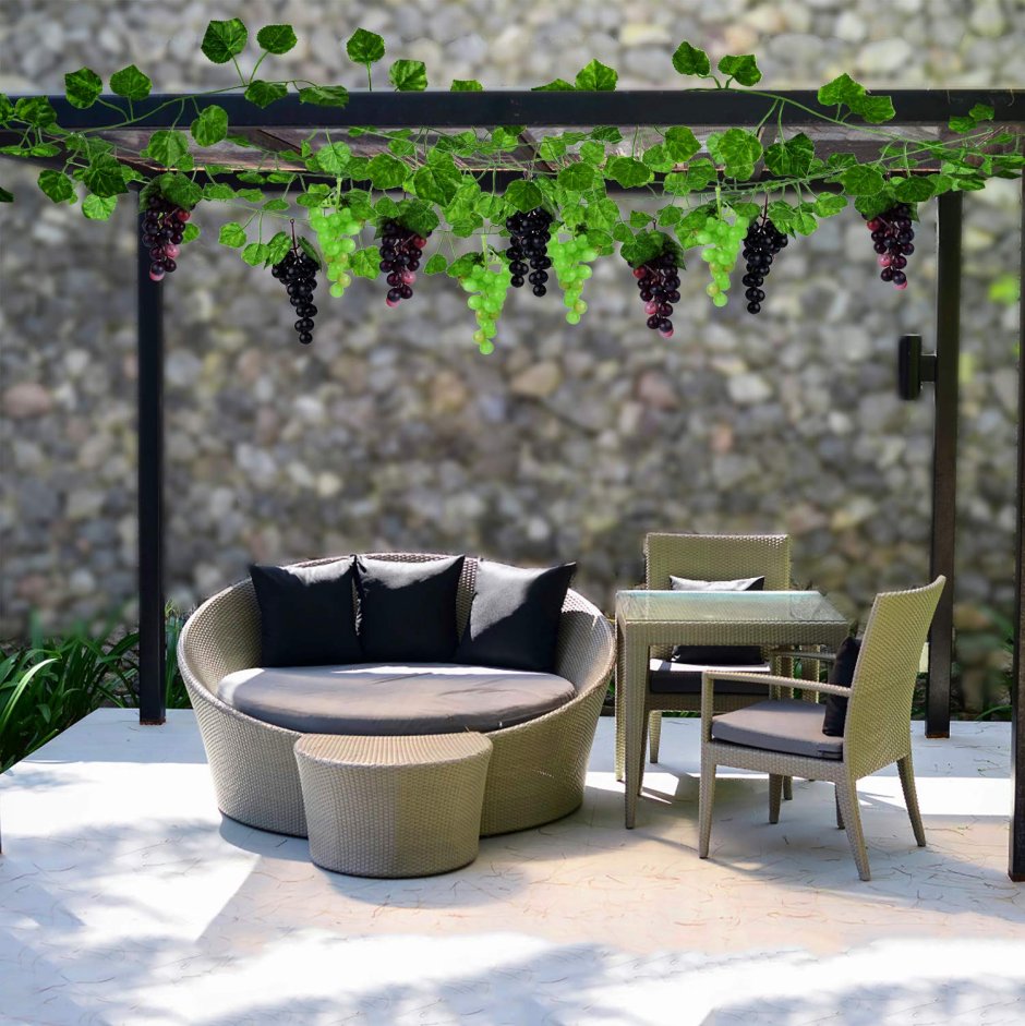 Вьюн плющ домашний