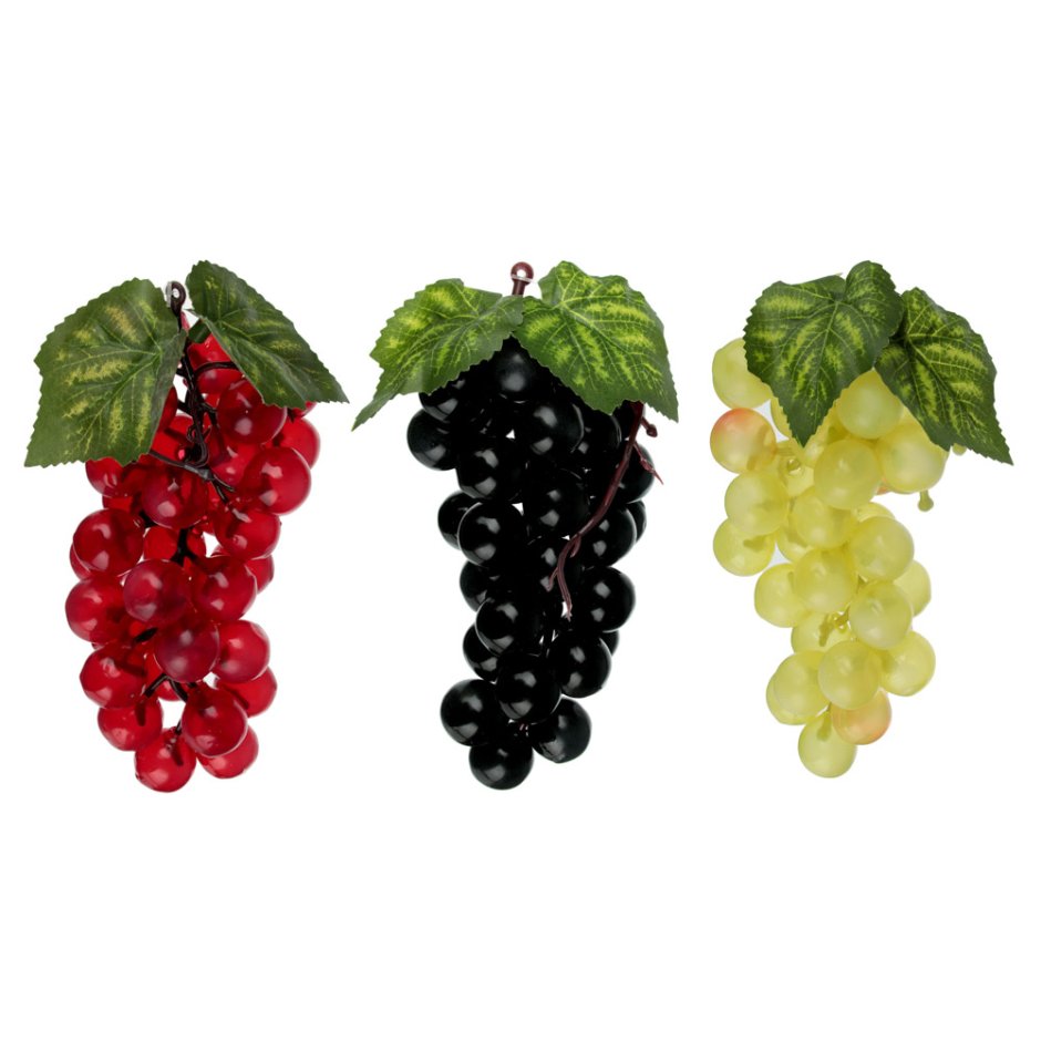 Бонсай виноград