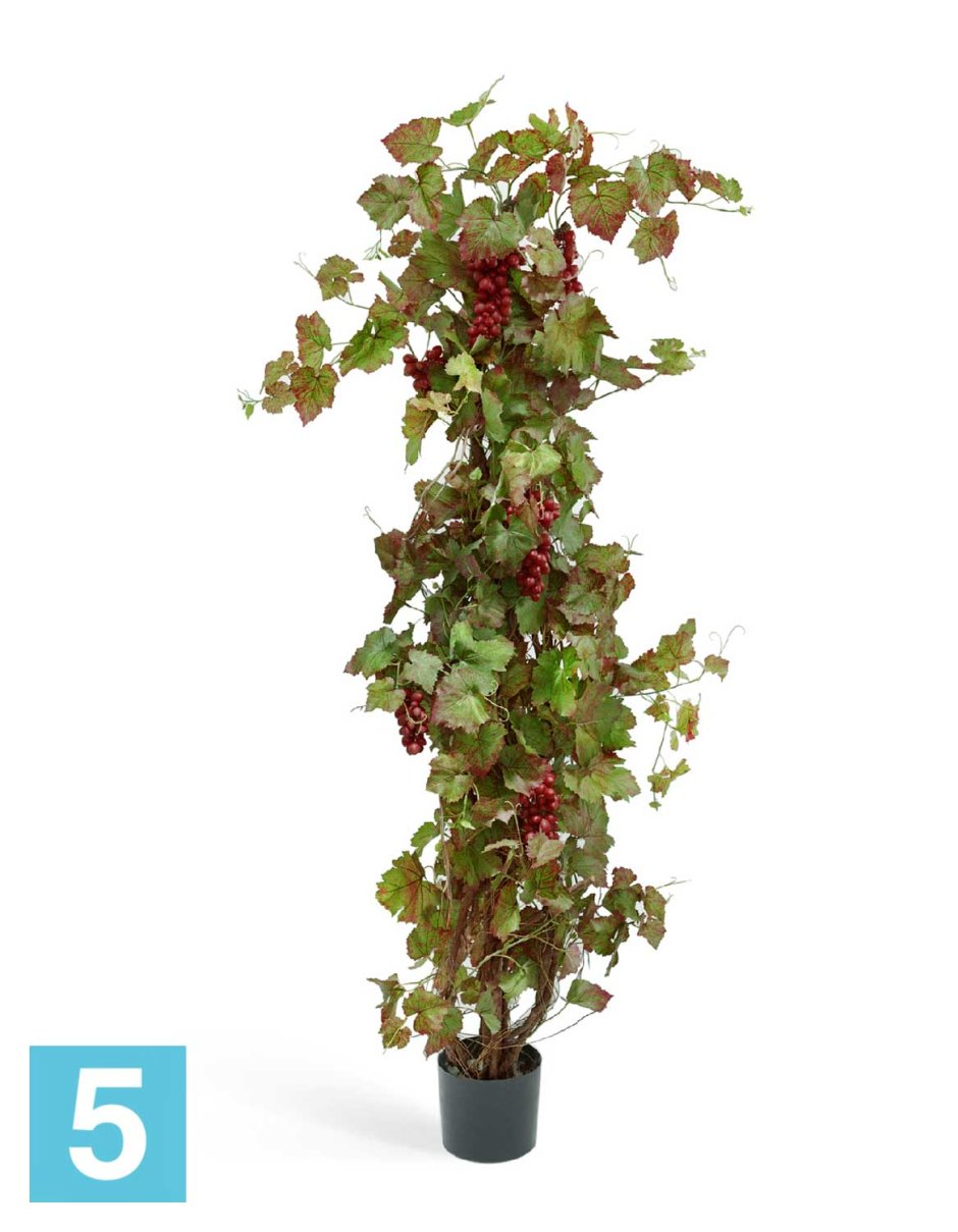 Топиарий виноградное дерево