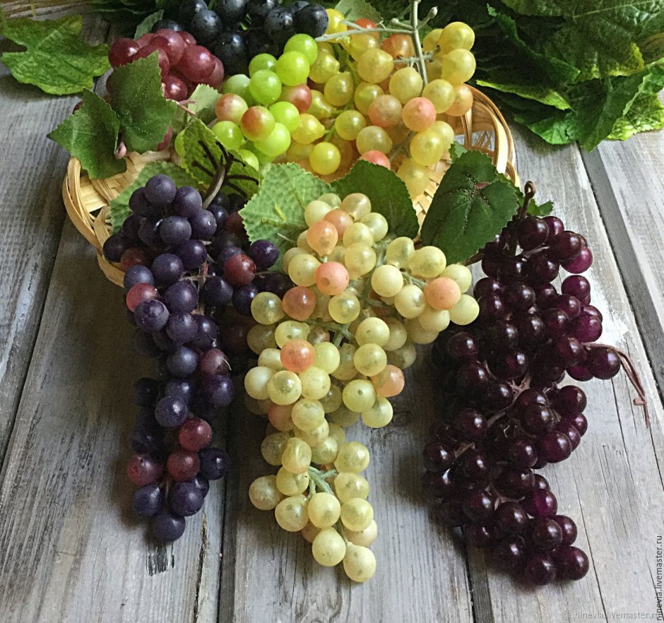 Брандмауэрная стена вертикальное Озеленение