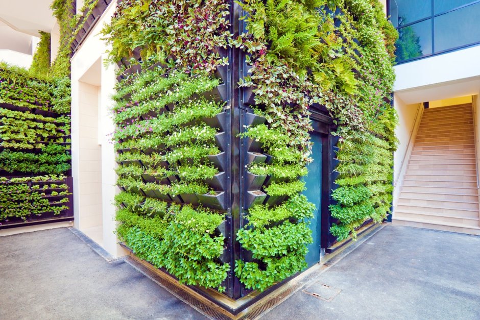 Искусственный виноград