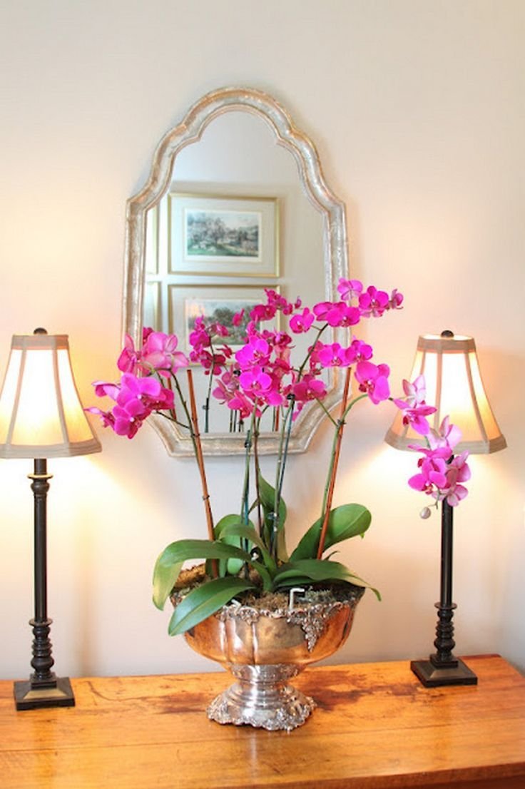 Орхидея розовая в интерьере