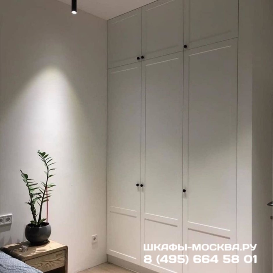 Шкаф распашной Сканди sk500