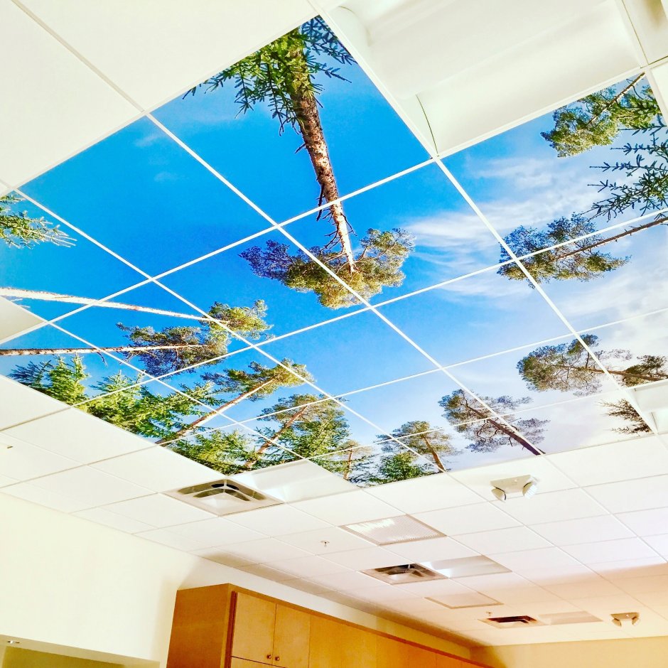 Цветные панели на потолок