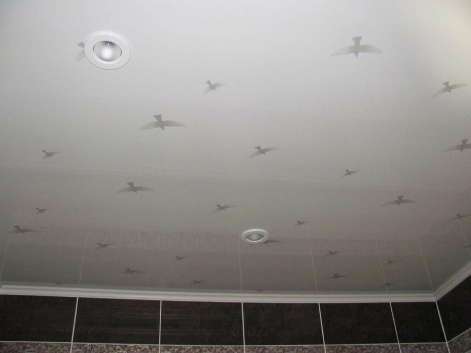 Бесшовные панели для потолка из пластиковых панелей