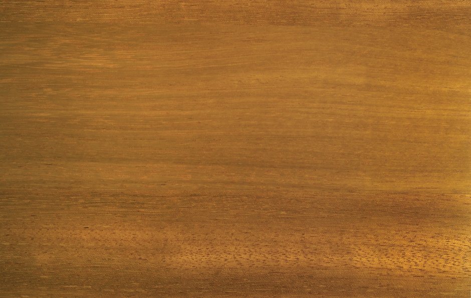 Текстура дерева английский дуб