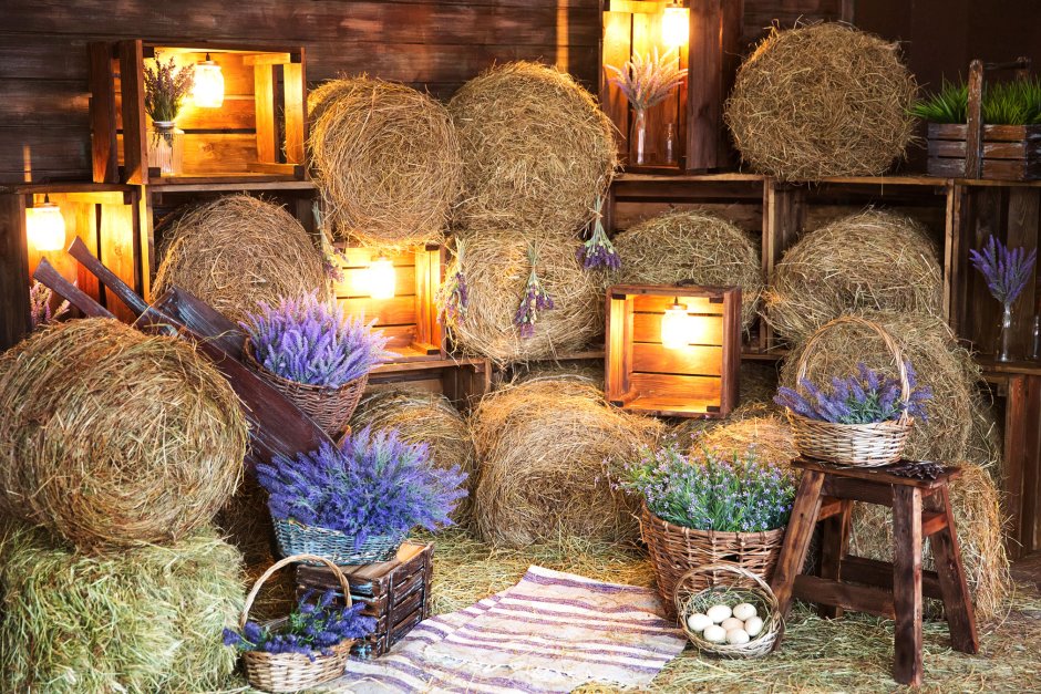 Диван из сена фотозона