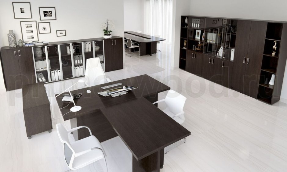 Кабинет руководителя ora Akaccio hydra