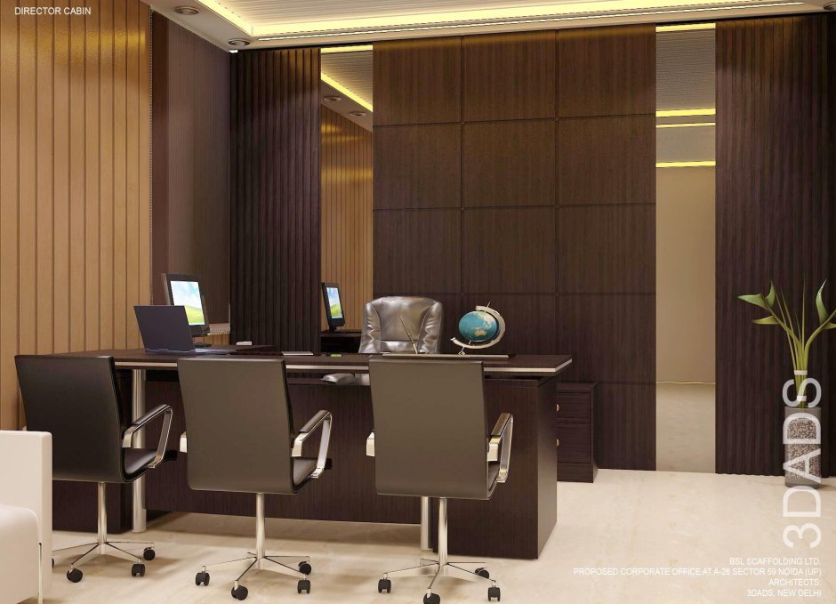 Office Director Interior Design
