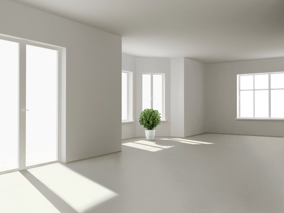 Предчистовая отделка White Box