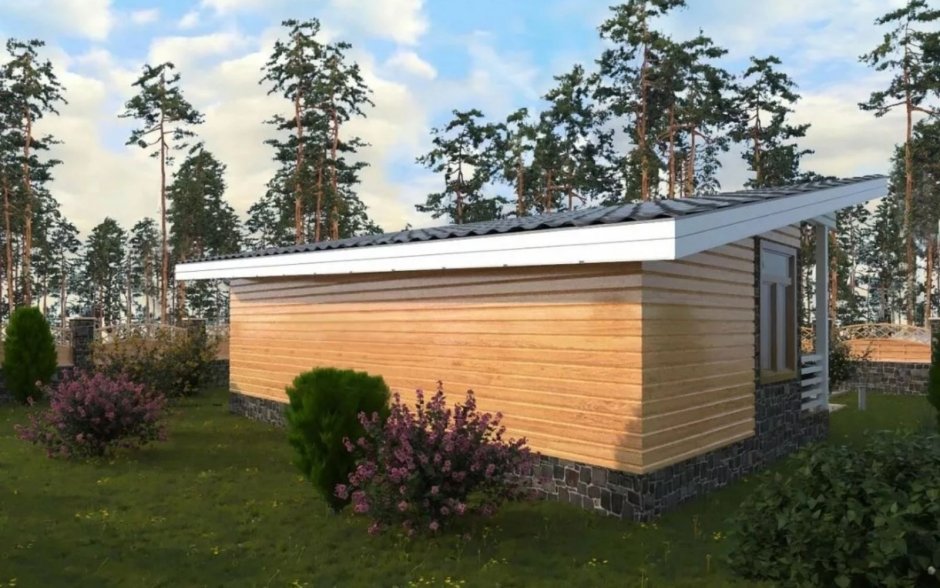 Tiny House с односкатной крышей