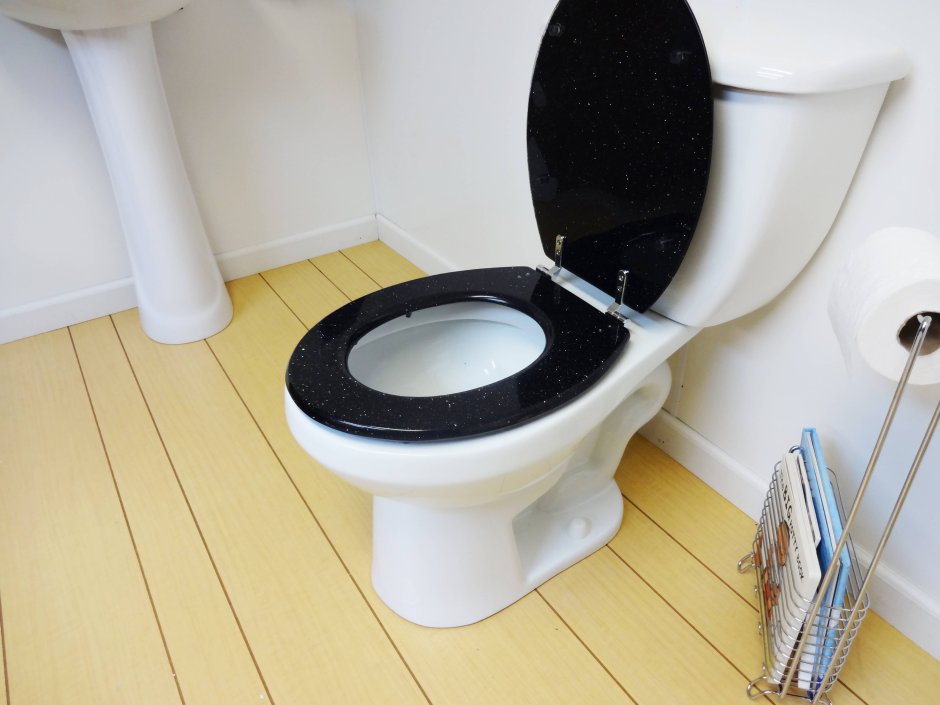 Необычные туалеты