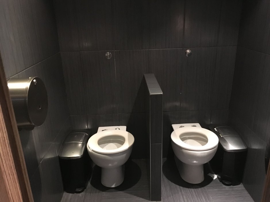 Туалет с двумя унитазами