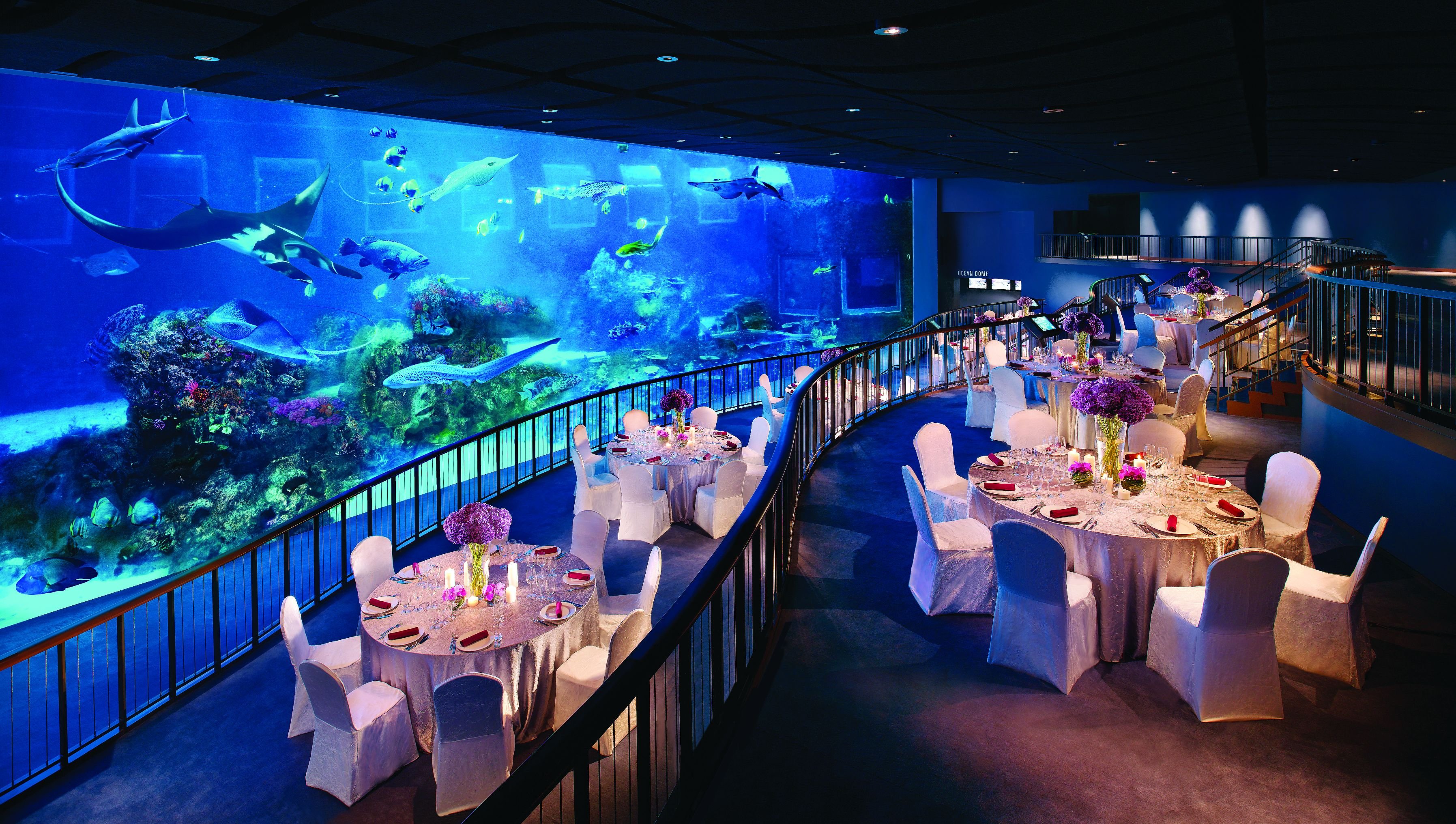 Resort World Sentosa, Сингапур подводный отель