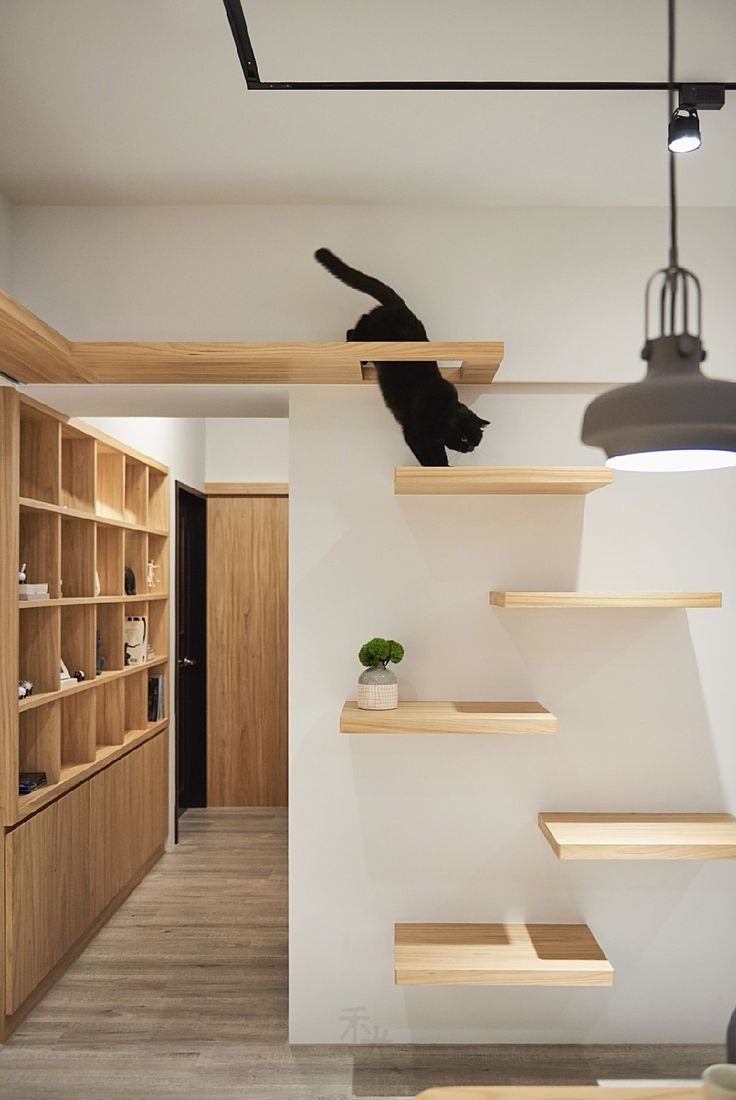 Стильные полки