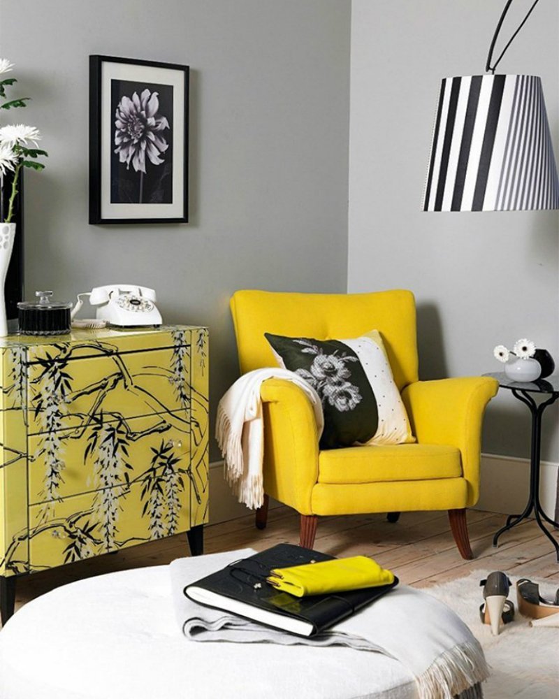 Жёлтый цвет в иетерьере