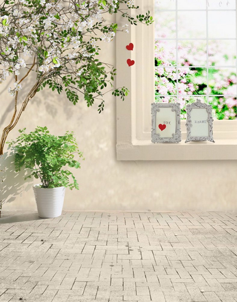 Фотофон окно