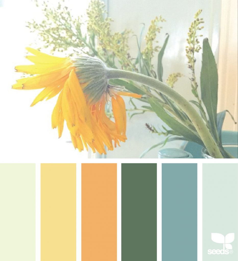 Сине зеленая гамма в одежде