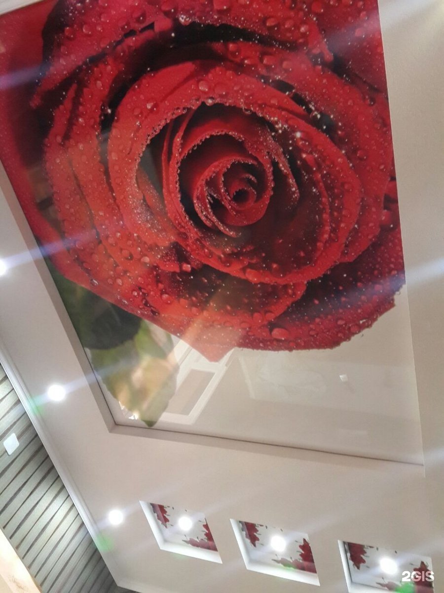 Потолки натяжные розы черные