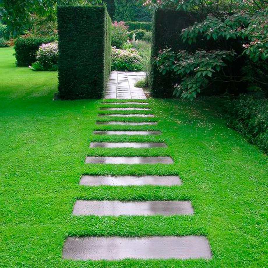 Дорожки в саду ландшафтный