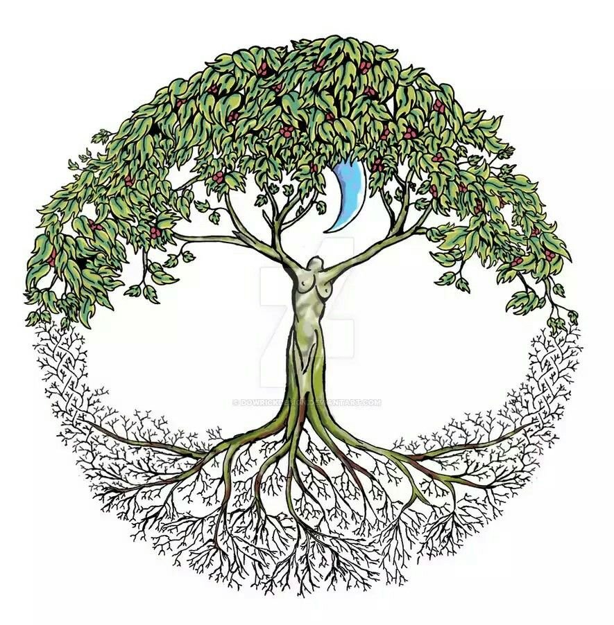 Родовое Древо корни рода