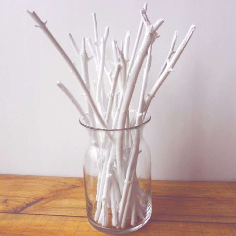 Декоративные сухие ветки для интерьера