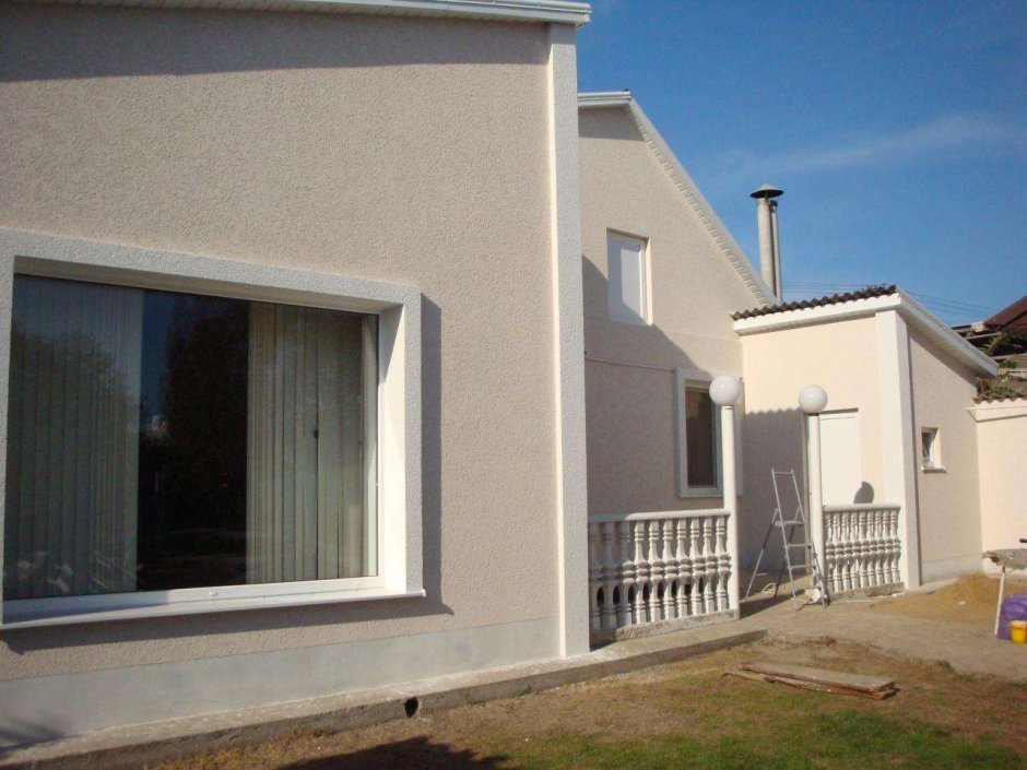 Короед серый фасад