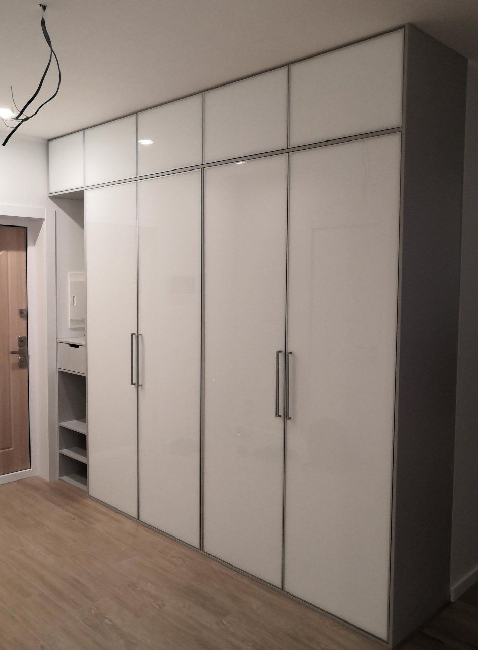 Современный шкаф в прихожую с распашными дверьми