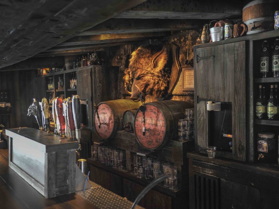 Интерьер Гарри Поттер Слизерин