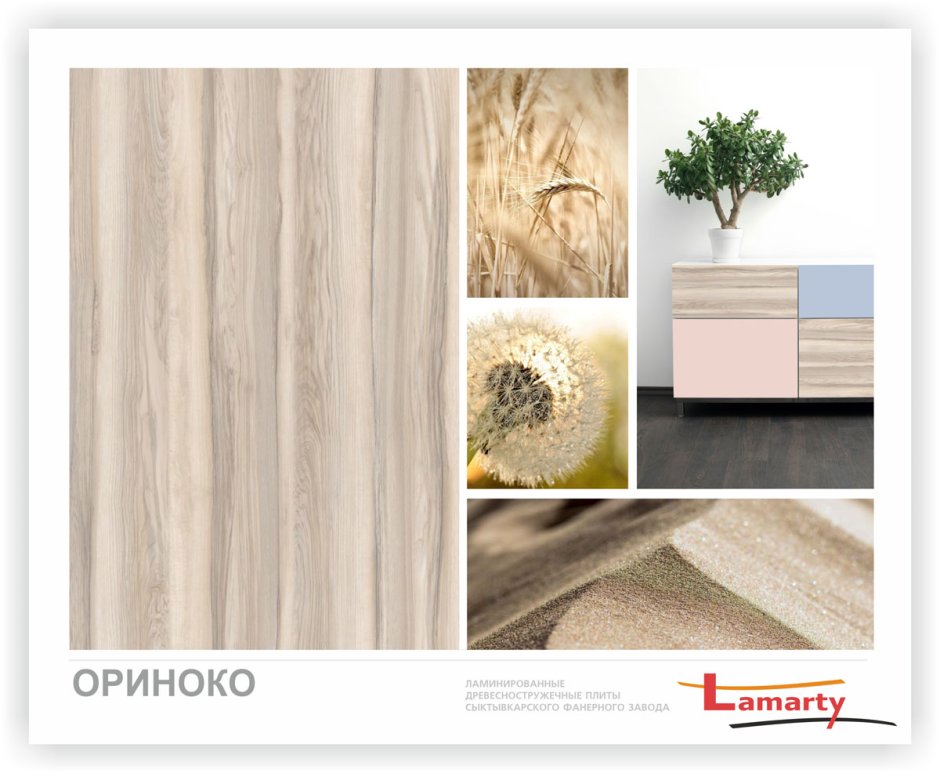 Ясень Ориноко Ламарти