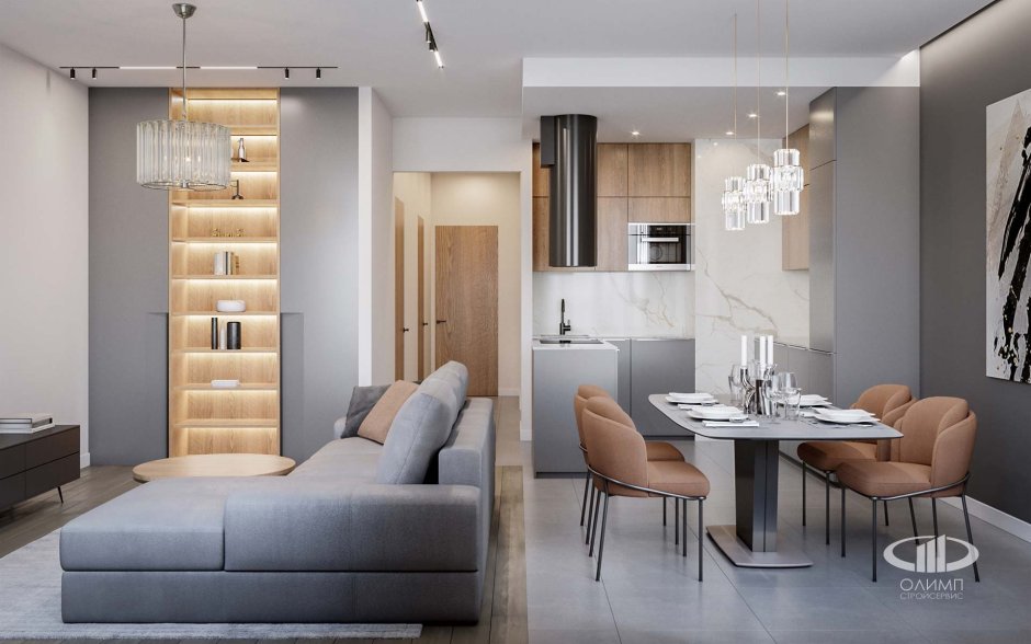 Кухня гостинная 20кв пик