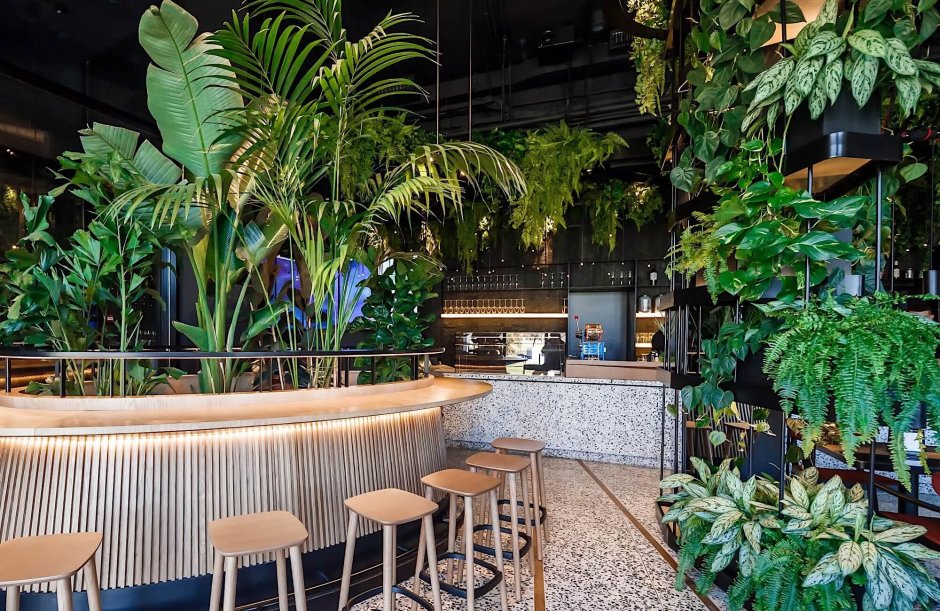 Парк Галицкого в Краснодаре кафе Краснодар