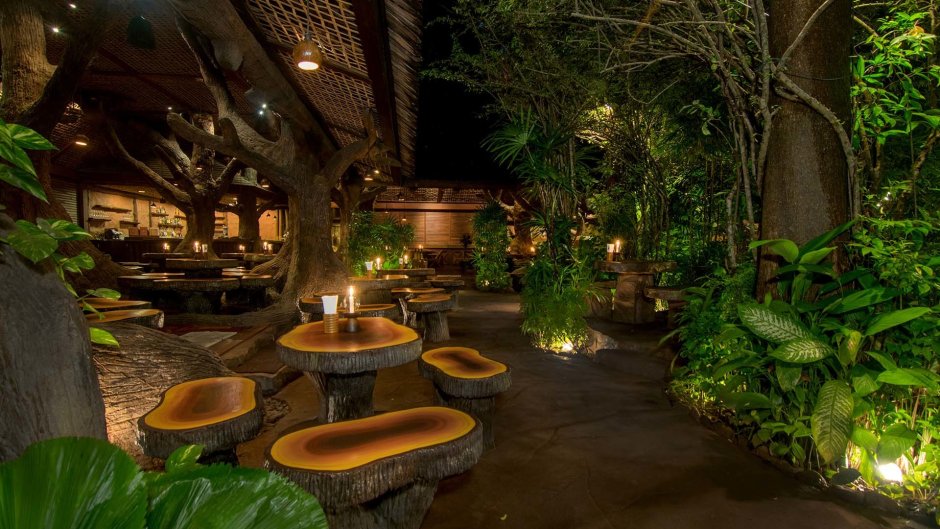 Кафе в тропическом стиле