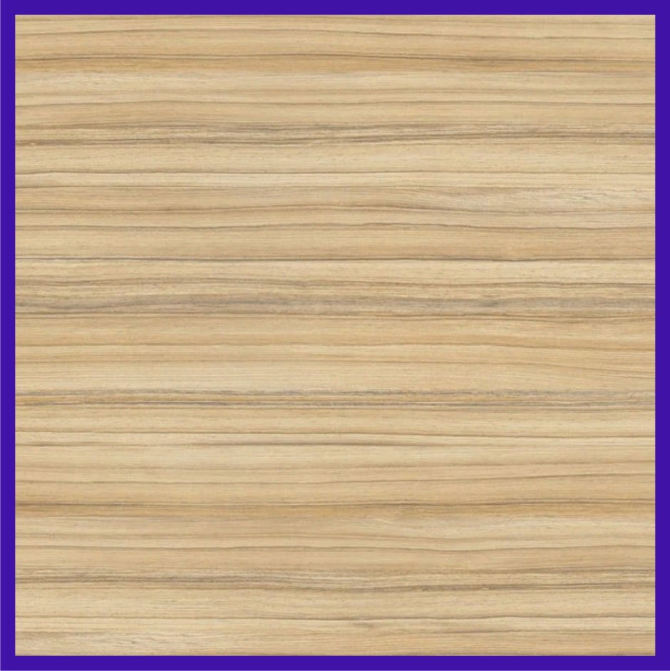 Кокоболо Эггер