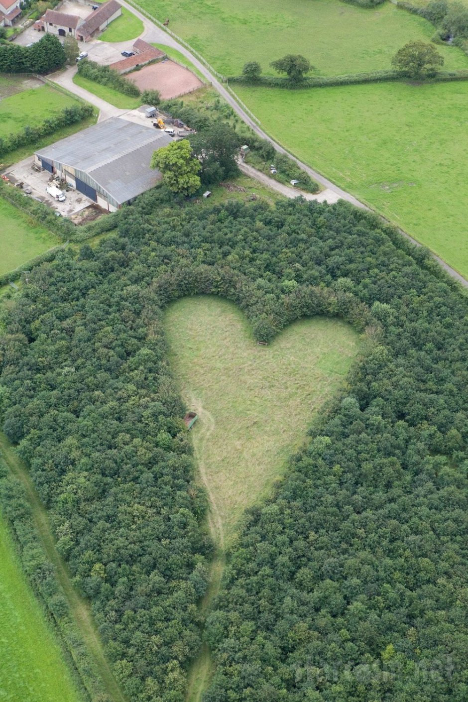 Уинстон Хоус