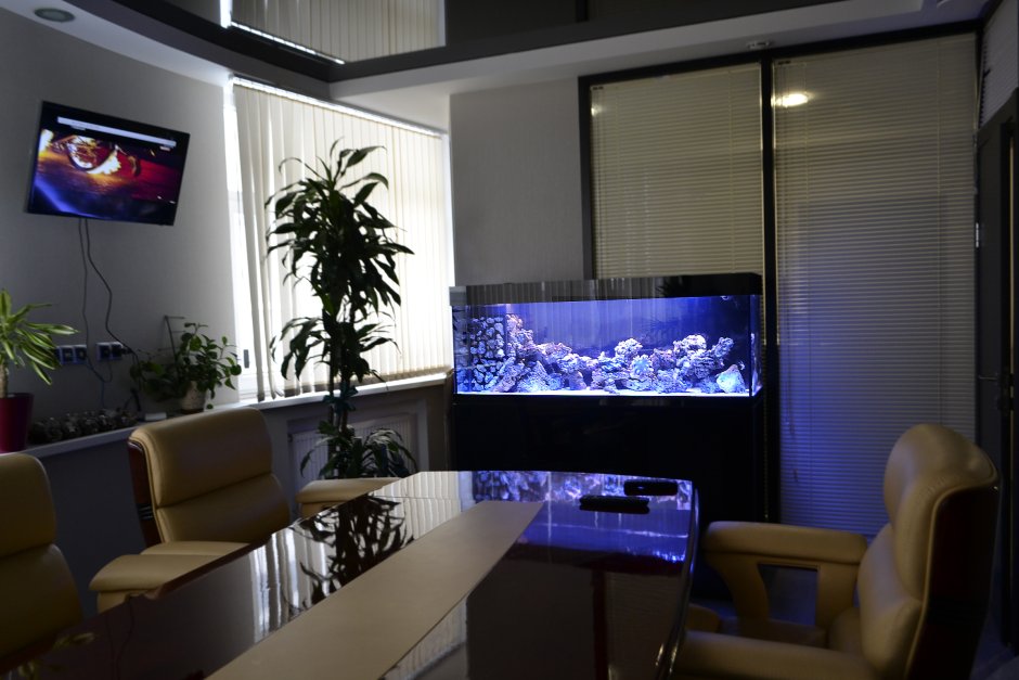 Аквариум в кабинете