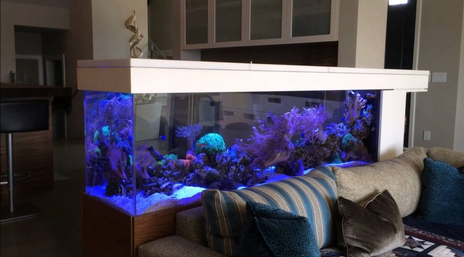 Необычные кровати с аквариумом