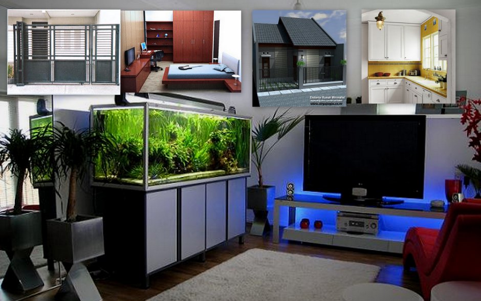 Дизайн аквариума