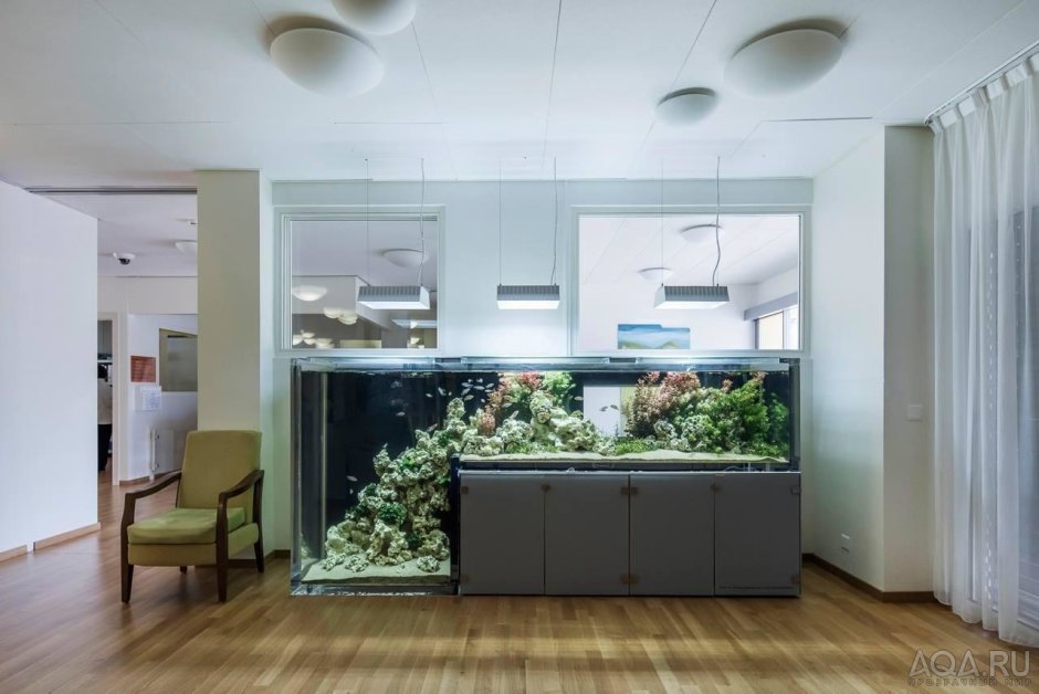 Аквариум в стиле Минимализм