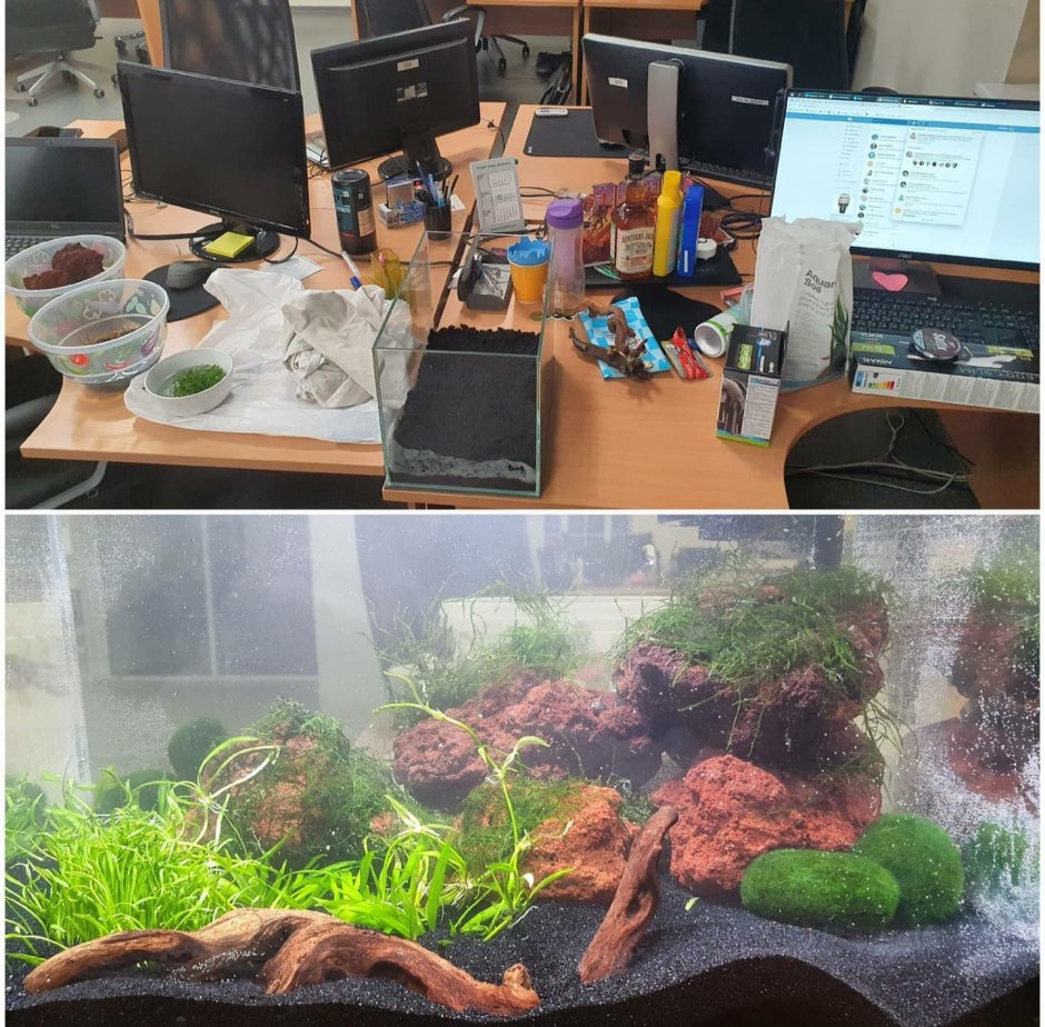 Аквариум на стол в офис